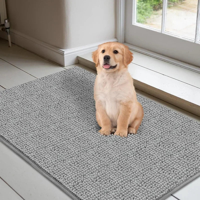 Absorbent Dog Doormat for Muddy Paws – Non-Slip Quick-Dry Microfiber Pet Mat