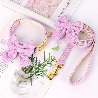 Chloe | Bowtie dog collar and leash set