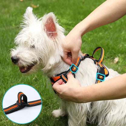 Rocky Reflective Dog Harness Adjustable and lightweight