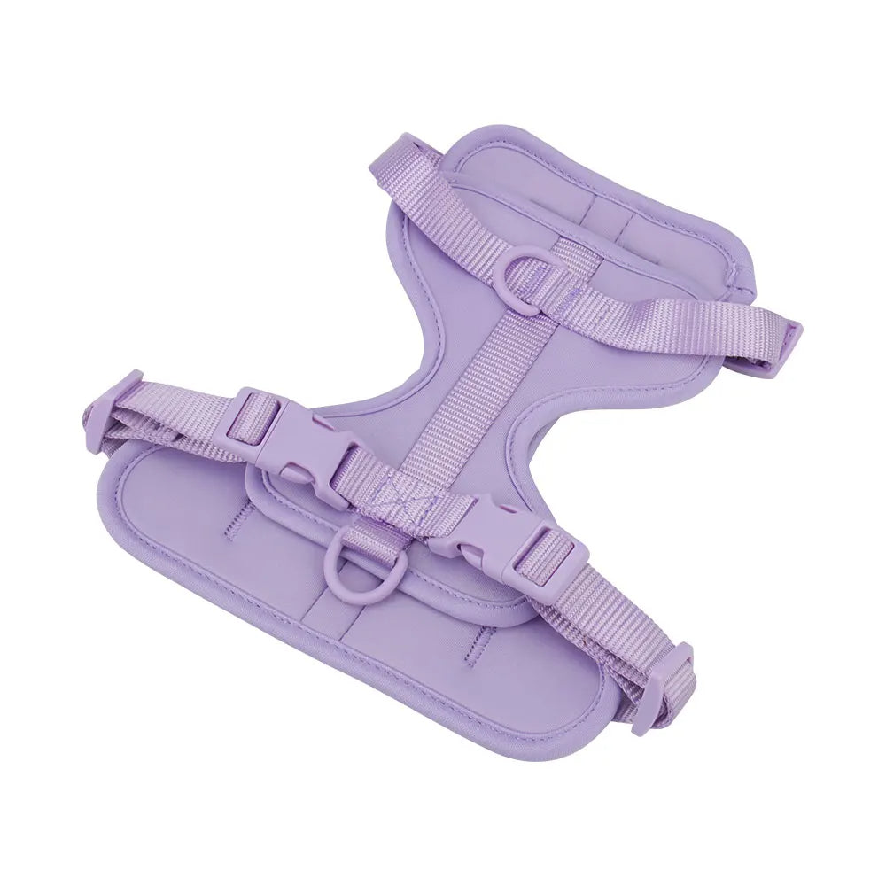 Bailey Lightweight Dog Harness Breathable adjustable vest strap