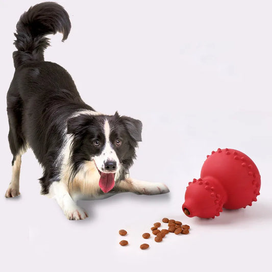 Interactive Rubber Dog Toy Ball for Chewing Teeth Grinding Training