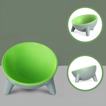 Raised Pet Food Bowl with Stand Tilted Design for Cats and Dogs