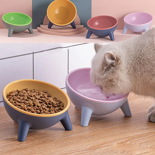 Raised Pet Food Bowl with Stand Tilted Design for Cats and Dogs