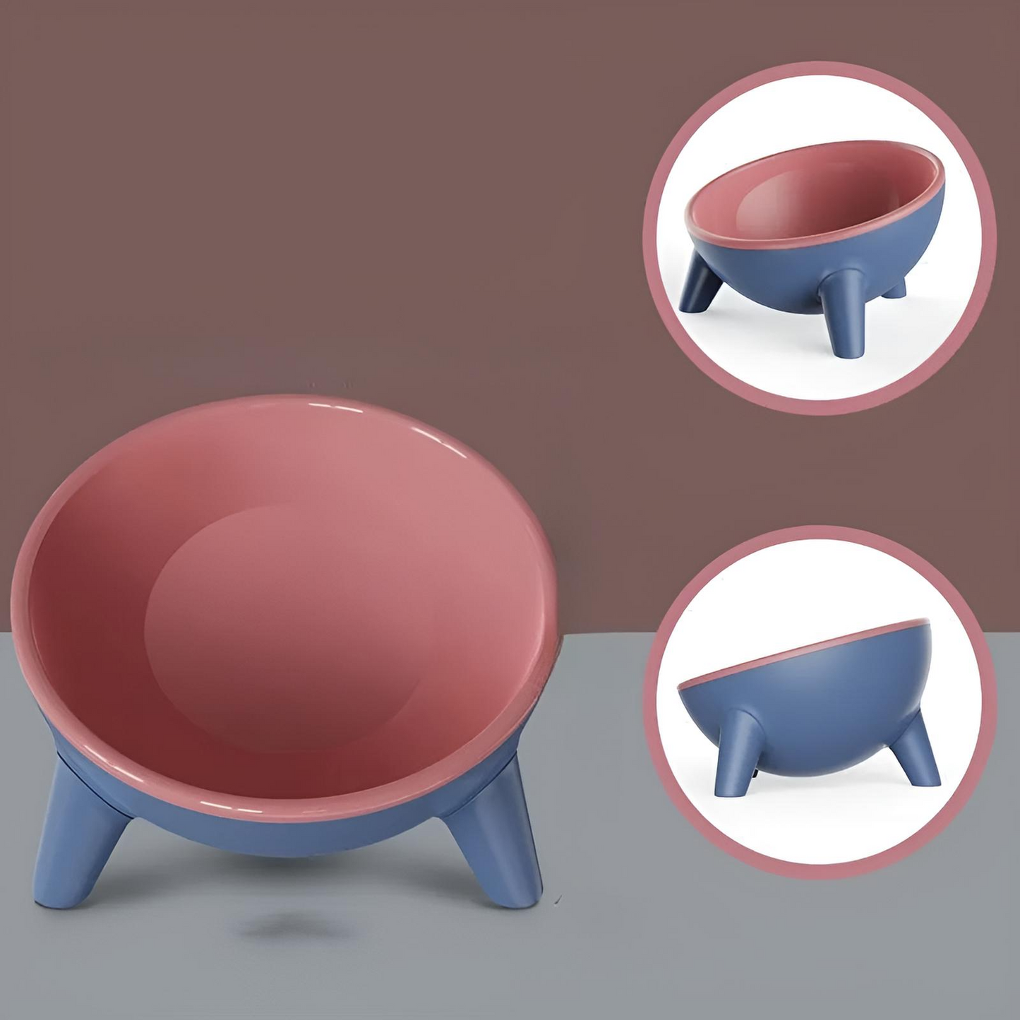 Raised Pet Food Bowl with Stand Tilted Design for Cats and Dogs