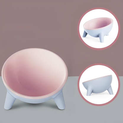 Raised Pet Food Bowl with Stand Tilted Design for Cats and Dogs