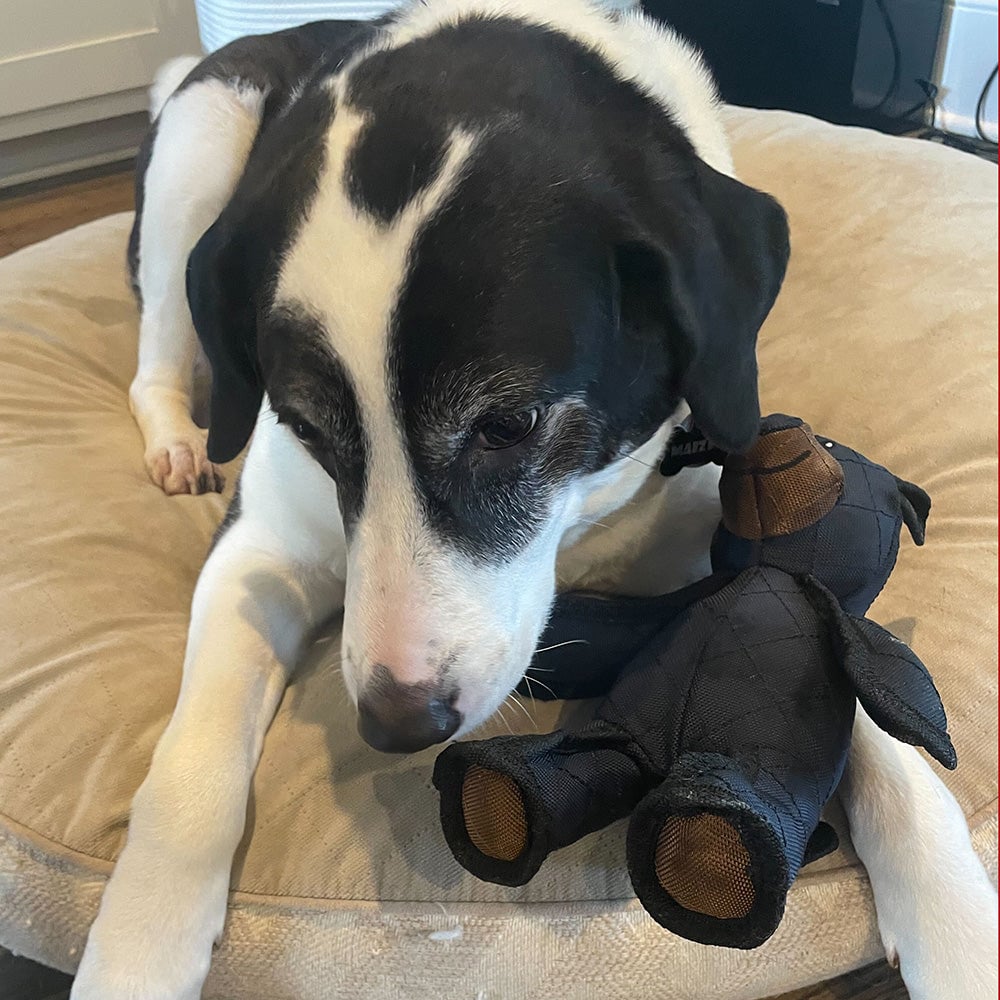 TuffPaw™ – Indestructible Bear Dog Toy