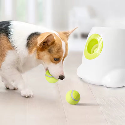 Ziggy™ Automatic Dog Ball Launcher Interactive fetch machine