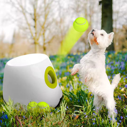 Ziggy™ Automatic Dog Ball Launcher Interactive fetch machine