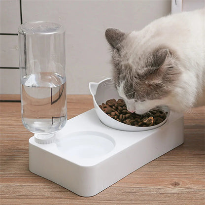Elevated Cat Feeding Station – Gravity Water and Food Bowls with Tilted Design