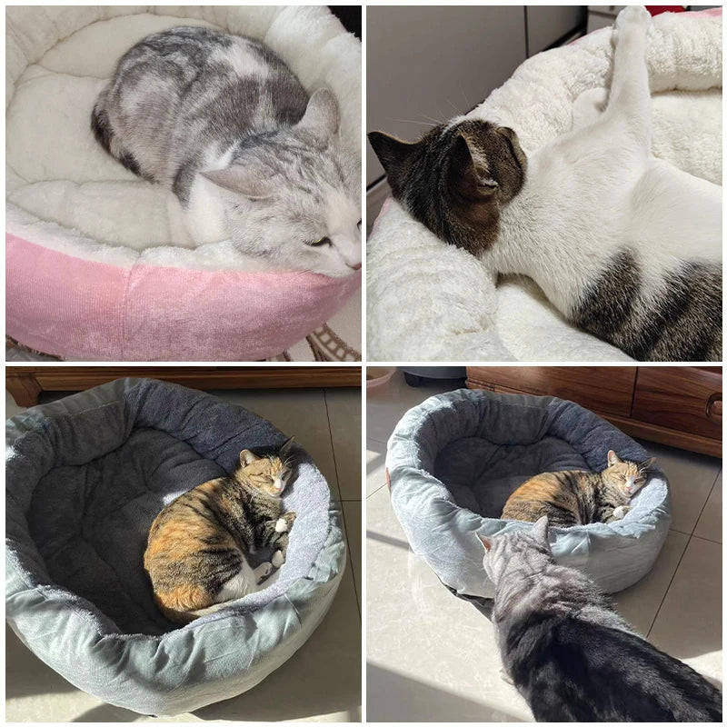 Oscar™ Plush Pet Bed – Cozy Comfort for Cats & Small Dogs