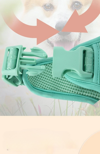 Daisy Adjustable Dog Harness & Leash Set