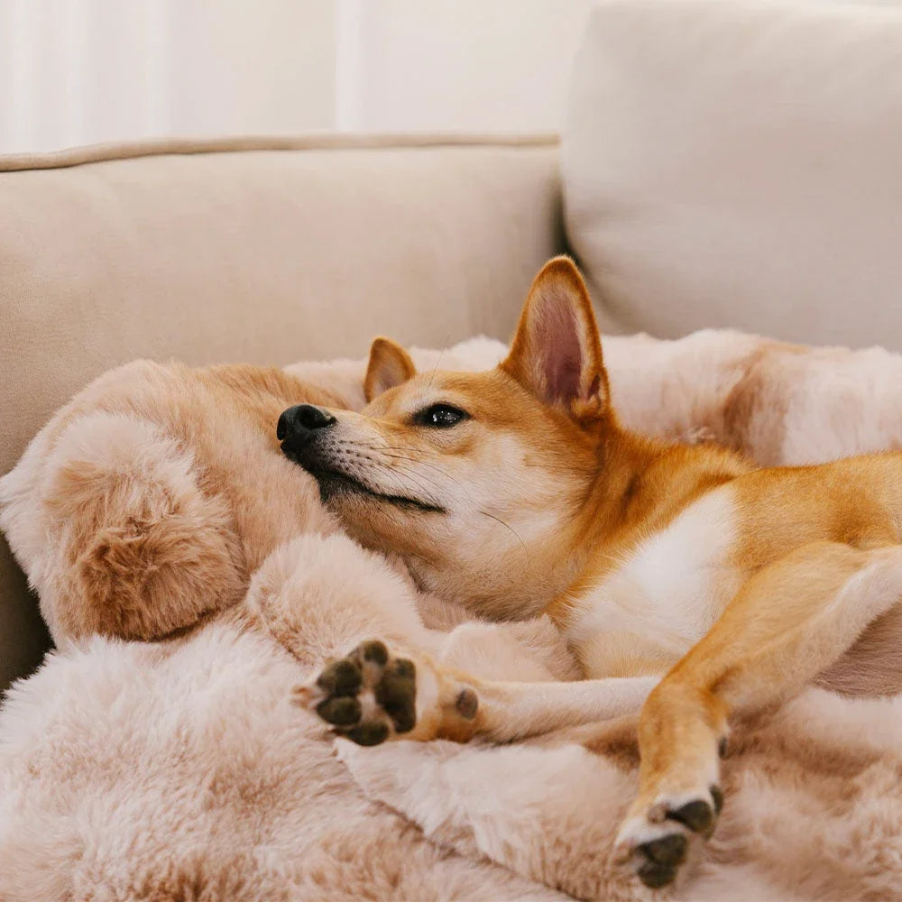 Milo™ Plush Pet Bed with Orthopedic Support and Ultra-Soft Fabric