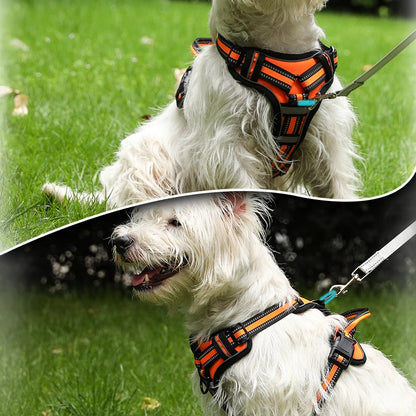 Rocky Reflective Dog Harness Adjustable and lightweight