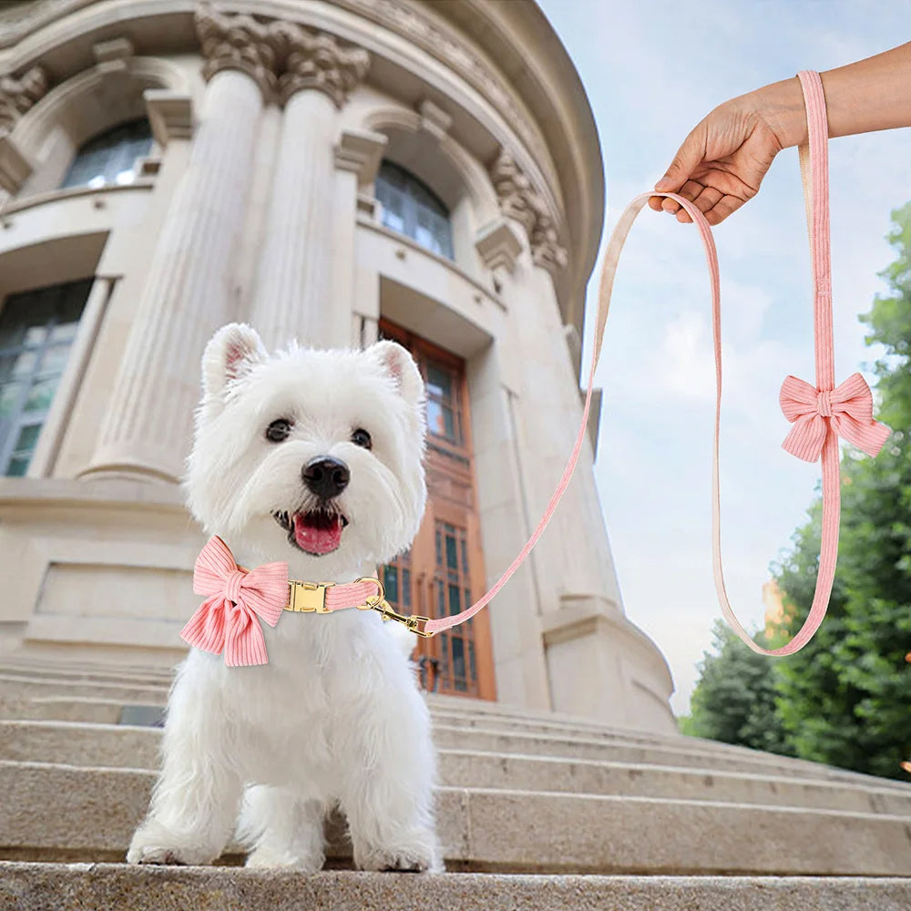 Chloe | Bowtie dog collar and leash set