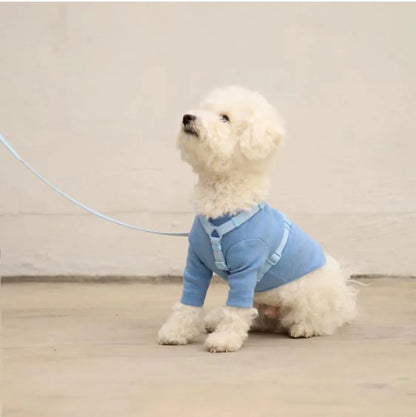 Cleo™ Macaron Dog Harness Set Dual-head leash