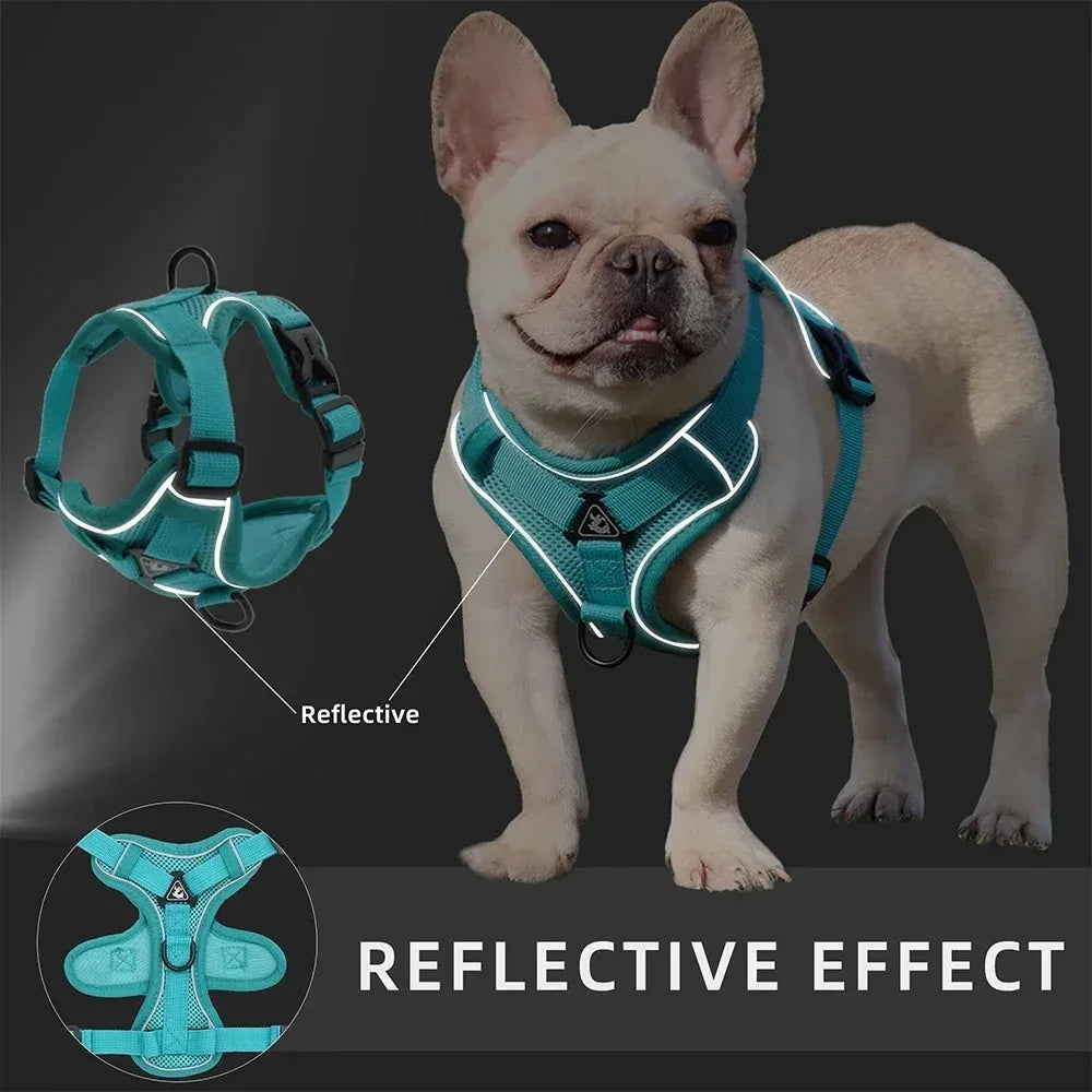 Toby No-Pull Dog Harness Set Reflective adjustable
