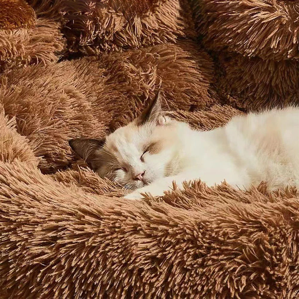 Luna™ Paw Plush Dog Bed – Cozy Comfort with a Playful Touch