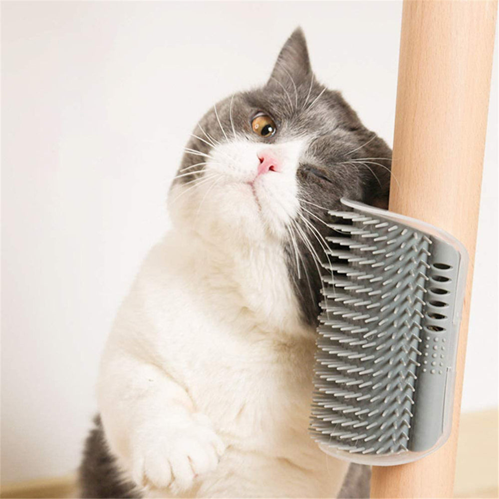 Cat Corner Brush Comb Massager with Catnip for Self-Grooming and Hair Removal