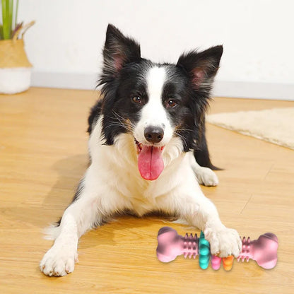 Indestructible Dog Chew Bone Toy for Teeth Cleaning and Stress Relief