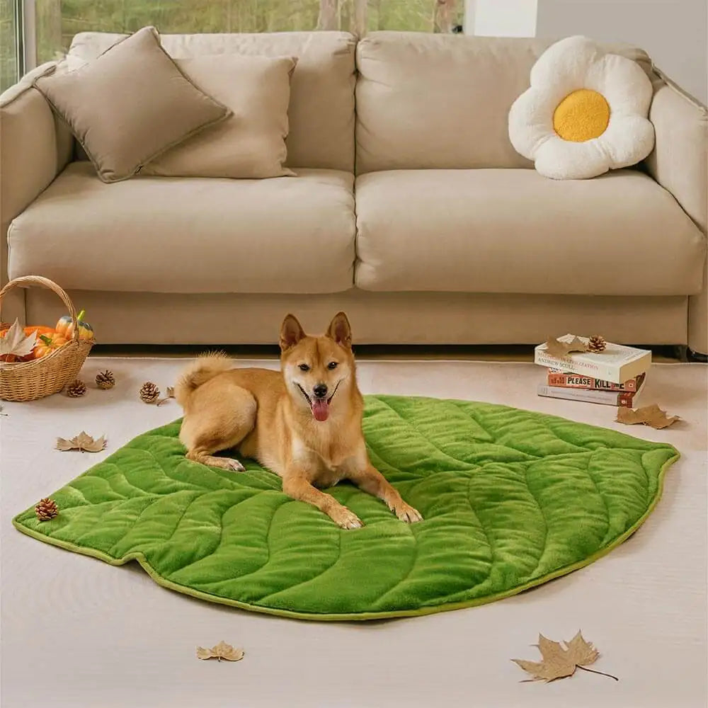 Giant Leaf-Shaped Pet Cushion – Thickened Fluffy Machine-Washable Mat