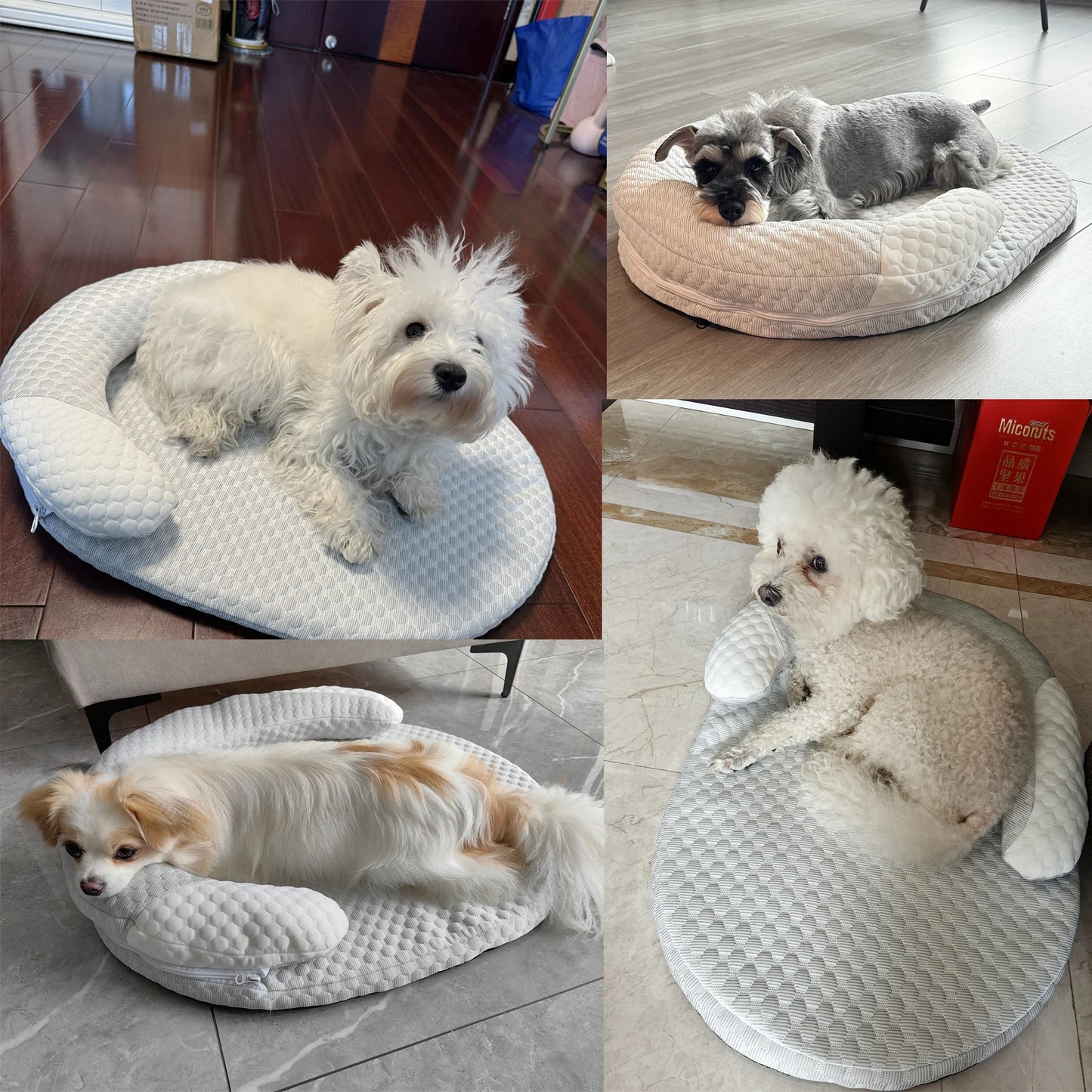 Luna™ Cooling Dog Bed – Keep Your Pet Fresh & Comfortable All Summer