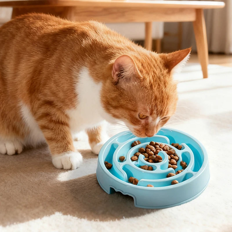Pet Slow Feeder Bowl for Dogs and Cats to Improve Digestion and Prevent Fast Eating