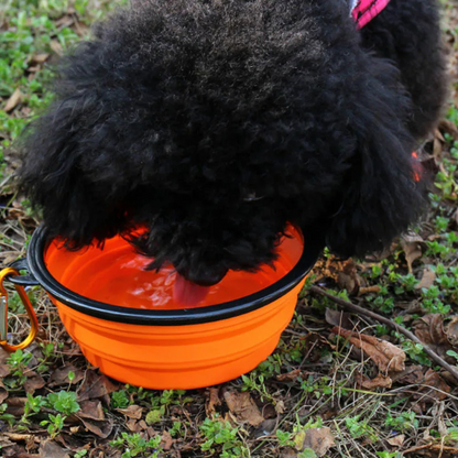 Collapsible Silicone Pet Bowl – Portable Travel Food & Water Bowl for Dogs and Cats