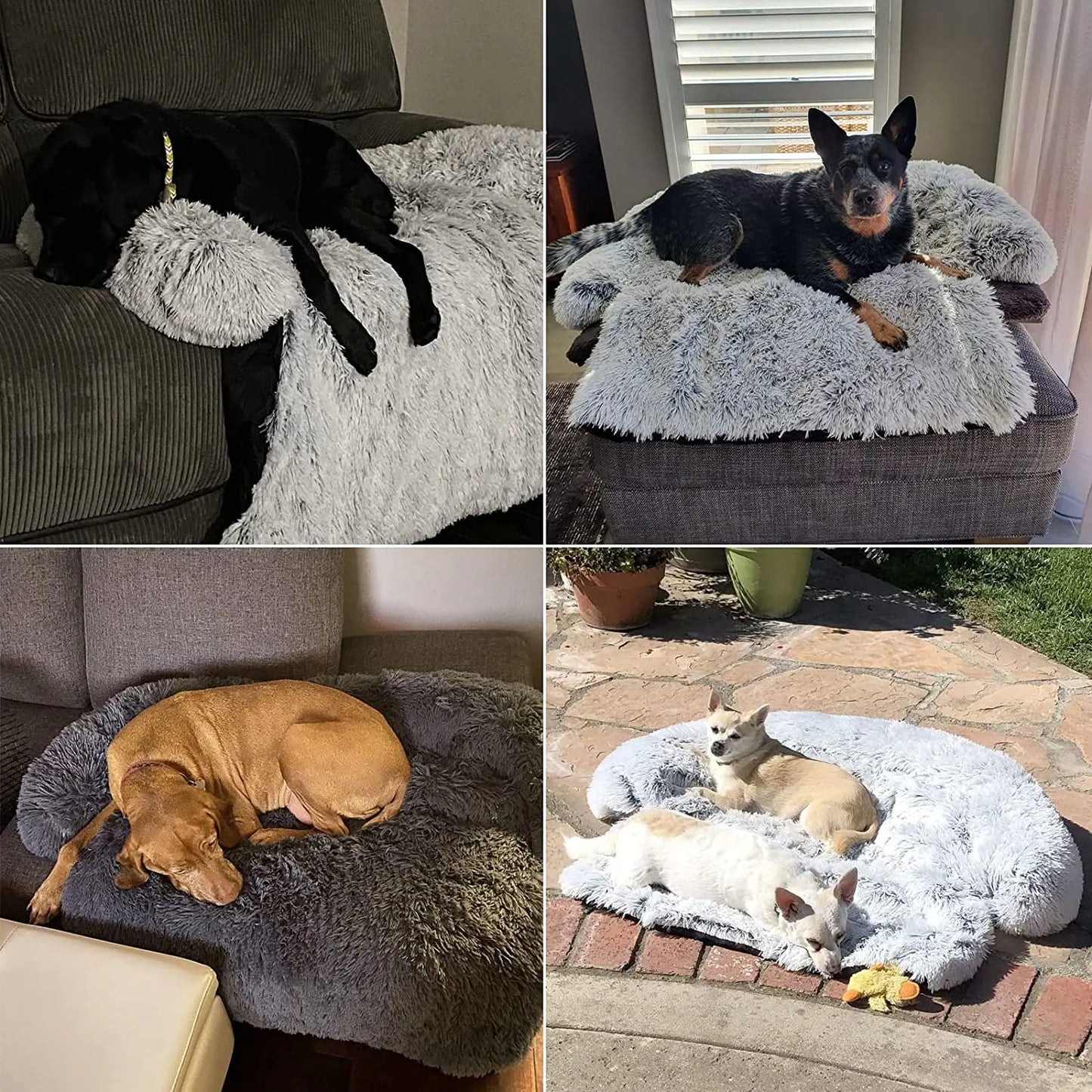 Bella Plush Dog Sofa Bed – Cozy Removable Cushion for Ultimate Comfort