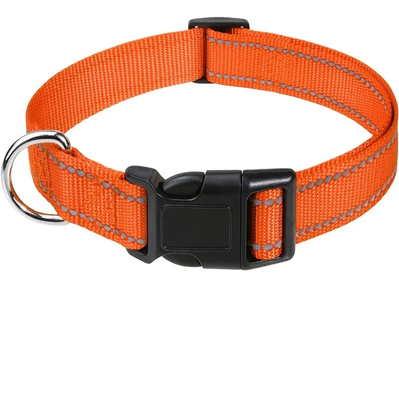 Alurex | Adjustable decorative dog collar for small & large breeds