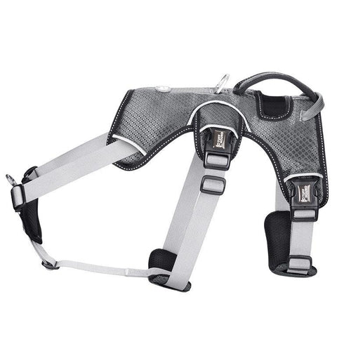 Stylish Dog Harness – Lightweight, Comfortable & Fashion-Forward
