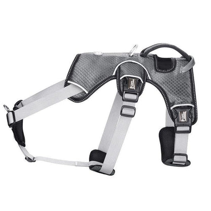 Stylish Dog Harness – Lightweight, Comfortable & Fashion-Forward