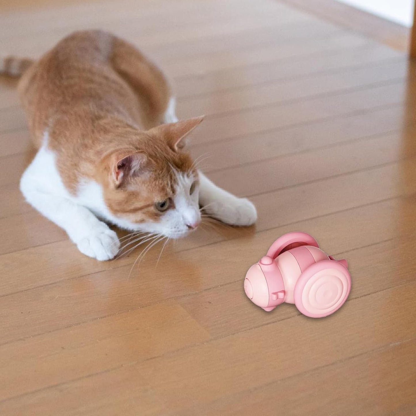 Ziggy™ Remote-Controlled Cat Toy with LED Light and Feather Attachment