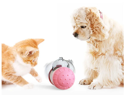 Buddy™ Chew Toy with Treat Dispenser for Dogs and Cats