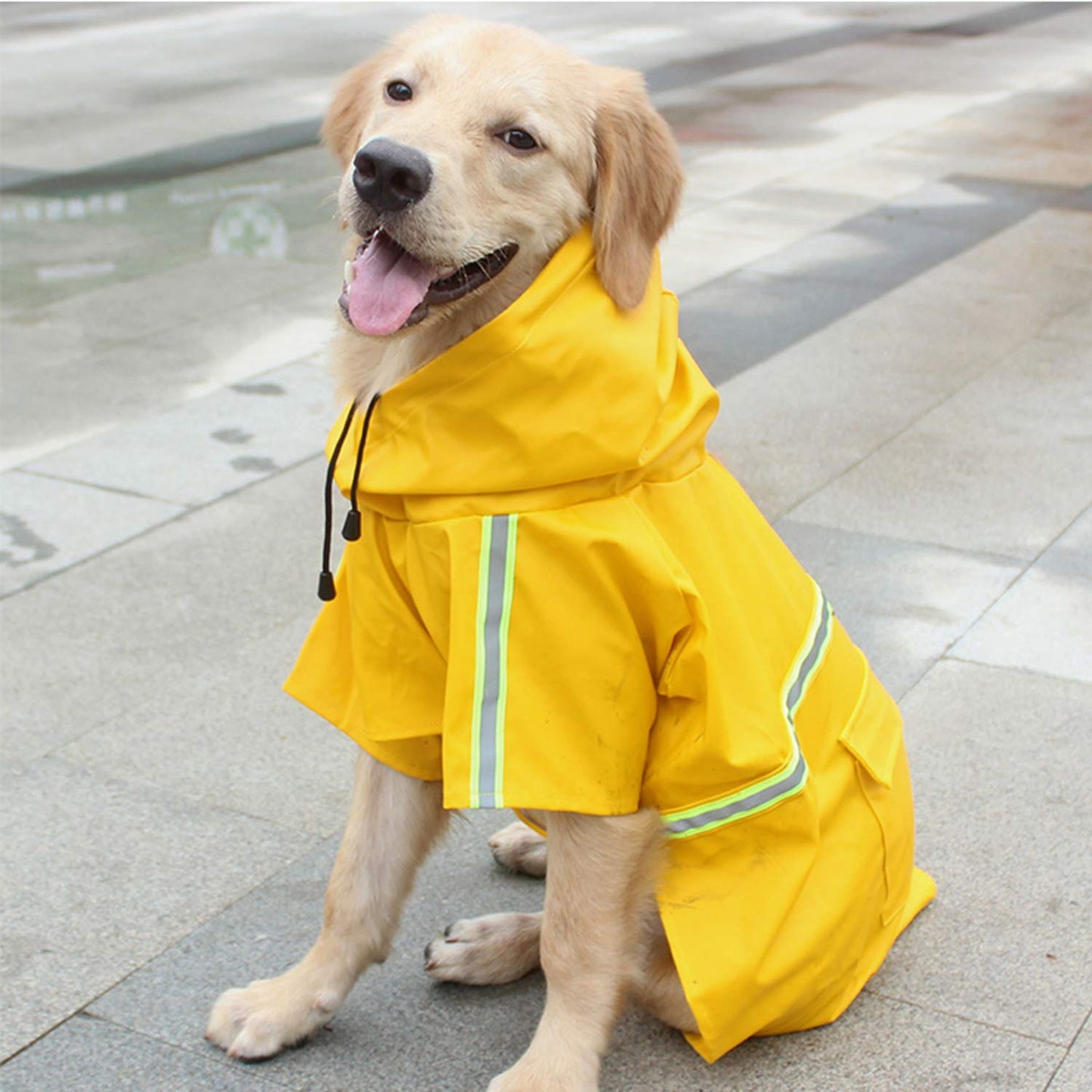 Waterproof Dog Raincoat with Adjustable Fit and Lightweight Design