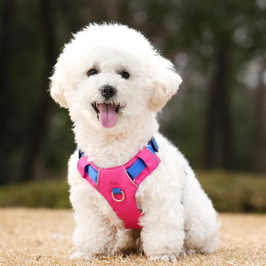 Bella™ Reflective Waterproof Harness Comfortable, Adjustable Dog Harness