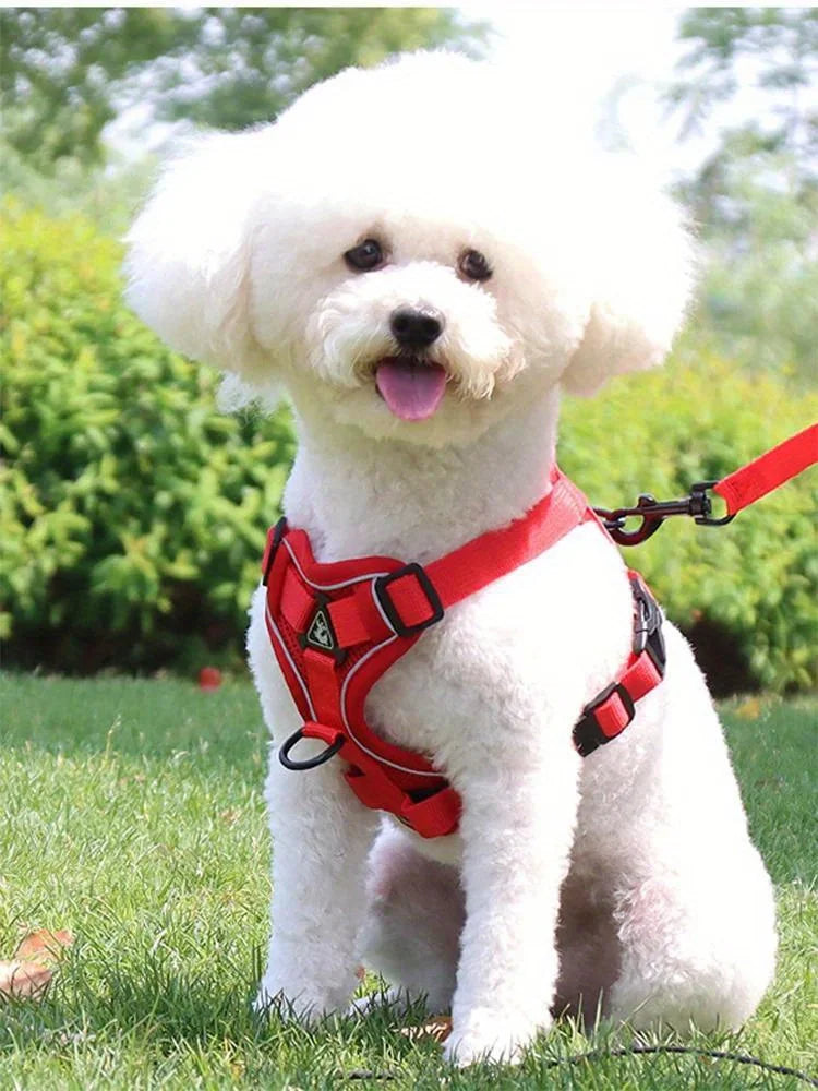 Toby No-Pull Dog Harness Set Reflective adjustable
