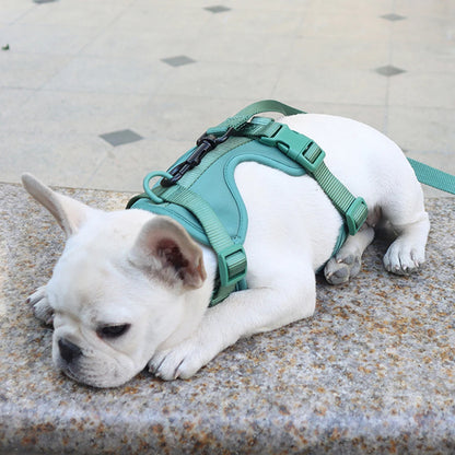 Bailey Lightweight Dog Harness Breathable adjustable vest strap