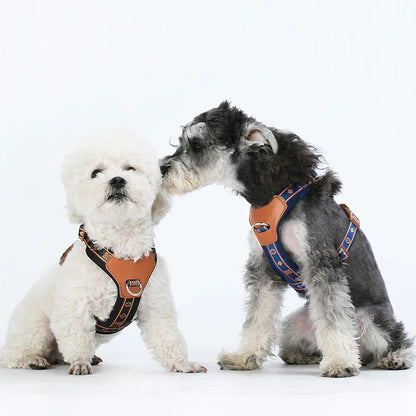 Savannah™ Adjustable Dog Harness Stylish & Comfortable
