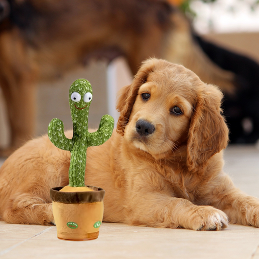 Max Talking Cactus Dog Toy with Voice Repeater and Music Effects