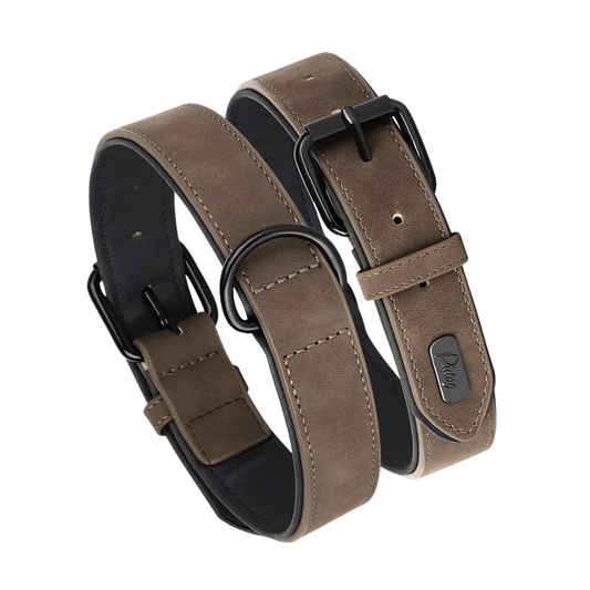 Rex Soft Padded PU Leather Dog Collar 1 pc