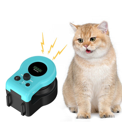 String Chase Cat Toy – Interactive Hunting Fun for Active Cats