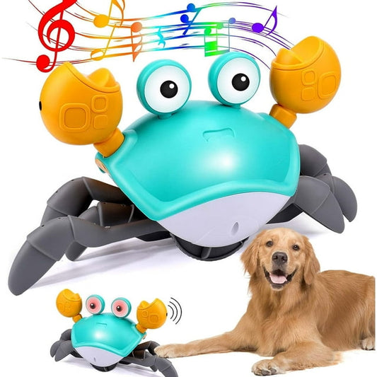 Marley™ Dancing Crab Interactive Dog Toy