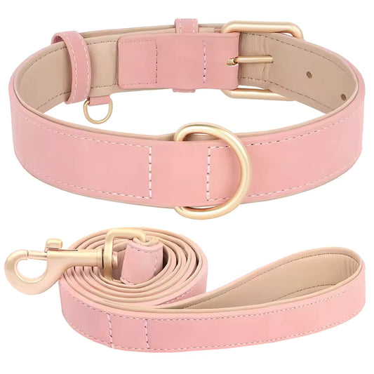 Daisy | Soft padded dog collar and leash set for small & medium dogs