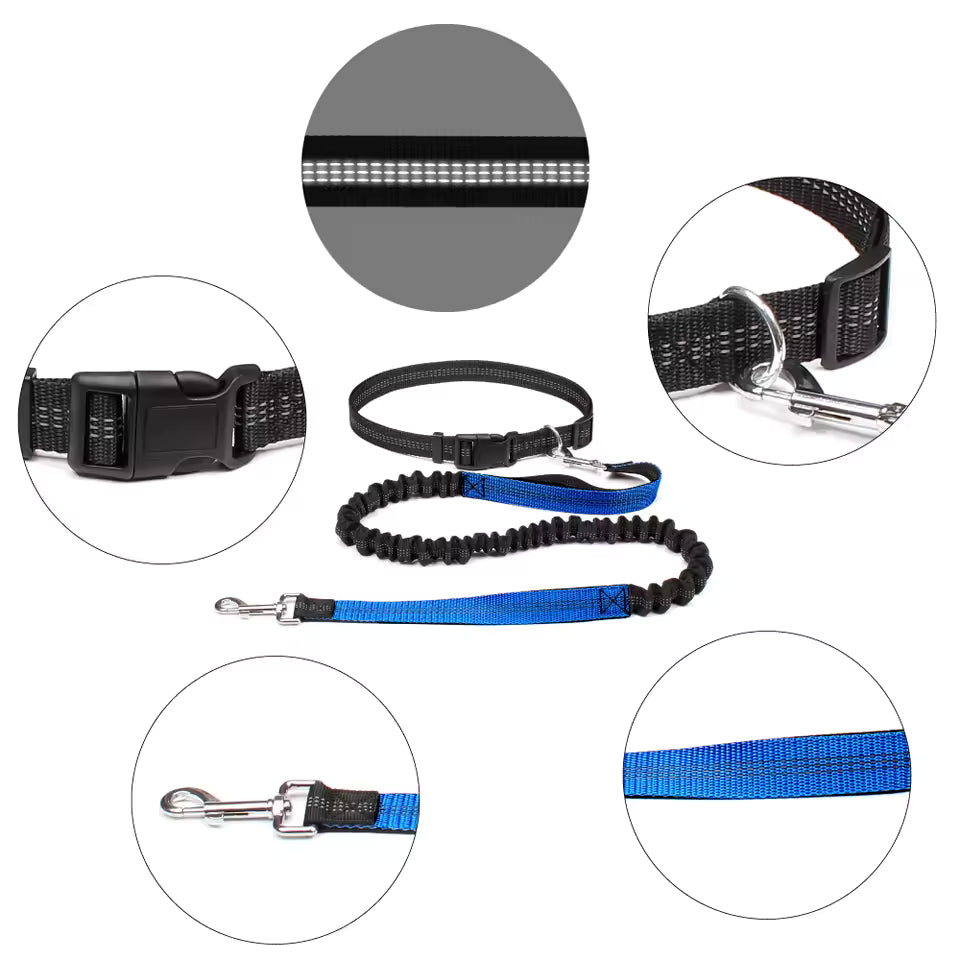 Aven Pro | Hands-free dog leash with waist belt & dual-bungee