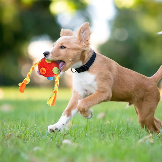 Interactive Sniffing Treat Ball for Dogs – Bite-Resistant Puzzle Toy