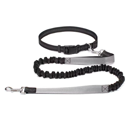 Aven Pro | Hands-free dog leash with waist belt & dual-bungee