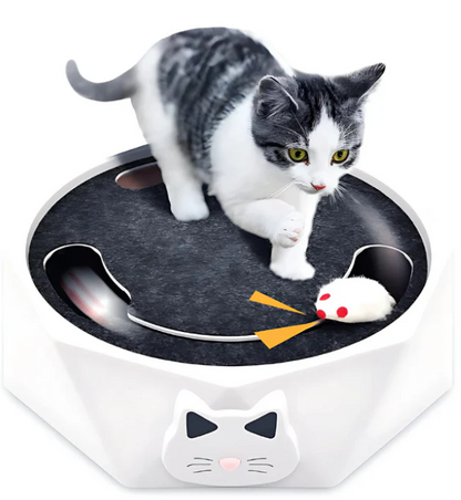 HuntMaster™ – Interactive Cat Toy with Moving Mouse