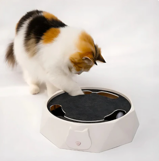 HuntMaster™ – Interactive Cat Toy with Moving Mouse