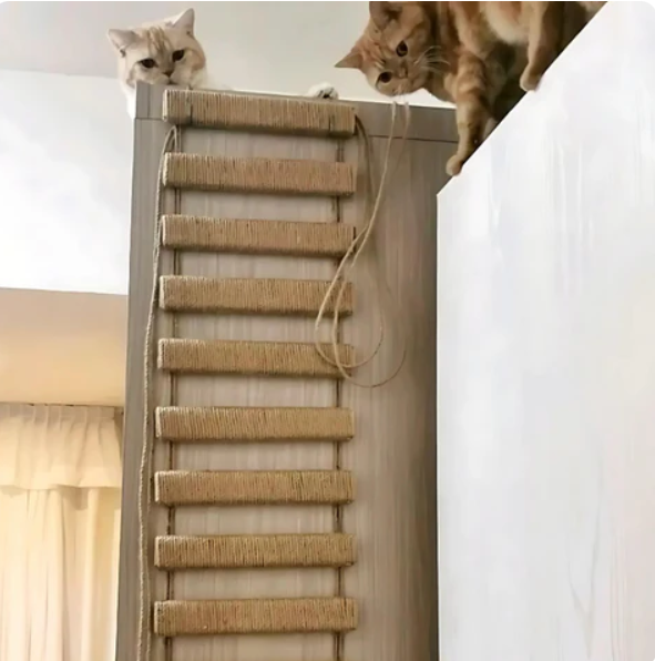 ClimbPro™ – Wall-Mounted Cat Climbing Bridge & Hanging Ladder