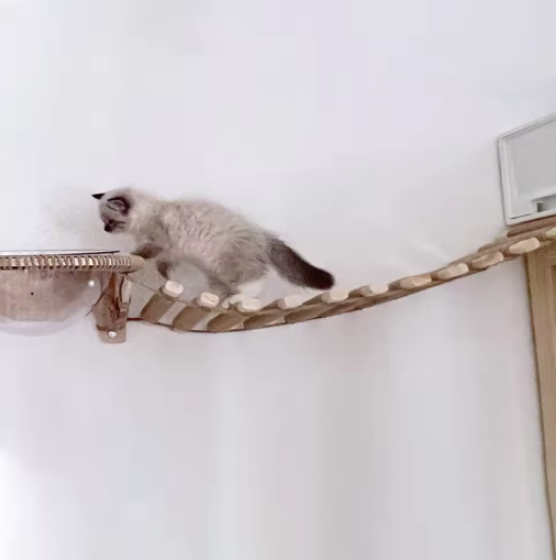 ClimbPro™ – Wall-Mounted Cat Climbing Bridge & Hanging Ladder